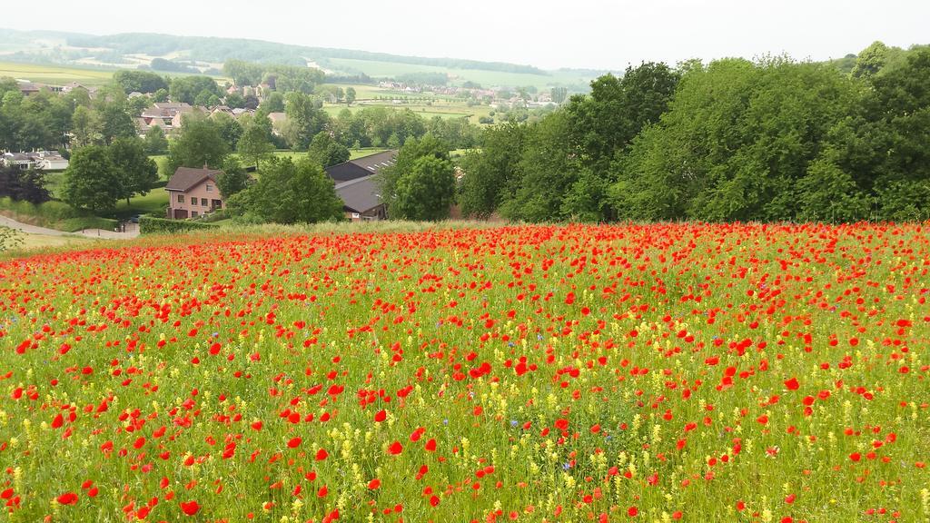 Belle - Mooi Zuid Limburg Villa Simpelveld Bagian luar foto